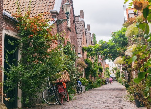 Study tour partner – £3,500 image