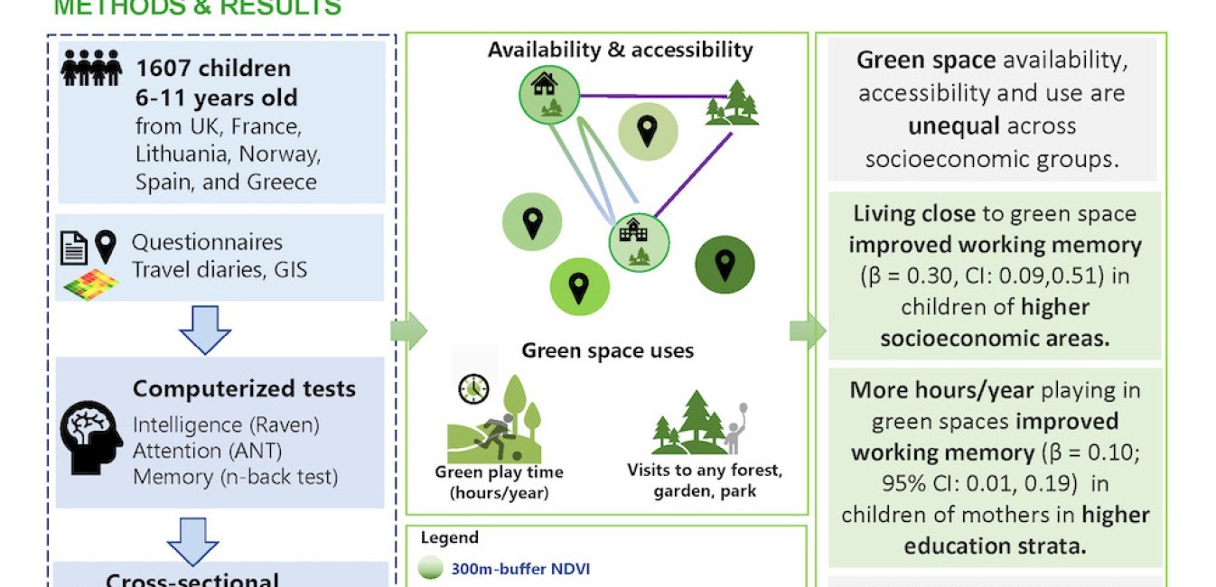 Availability, accessibility, and use of green spaces and cognitive development in primary school children image