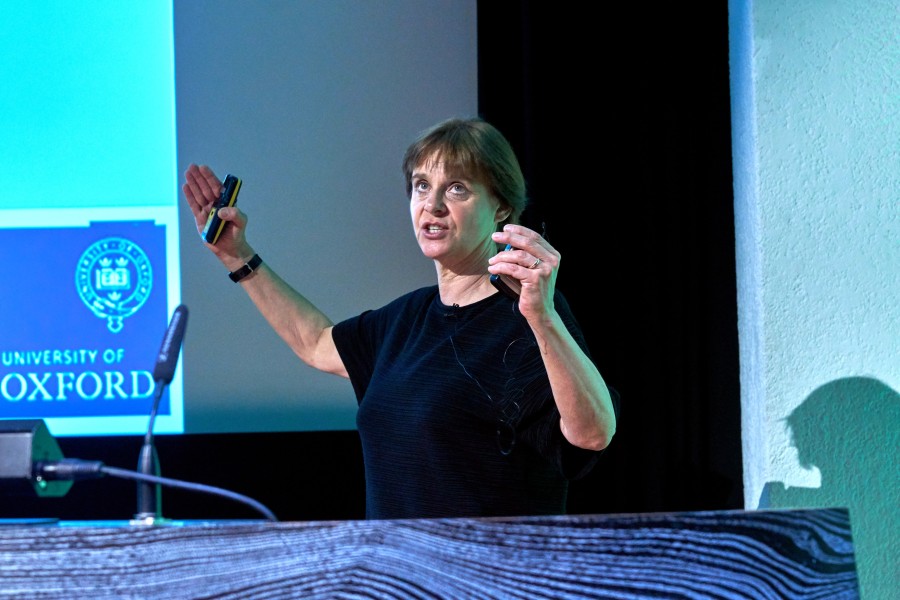 Gallery content image