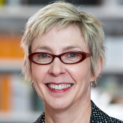 Jeri Brittin PhD