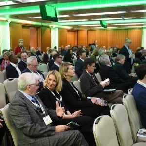 HCD Gallery image
