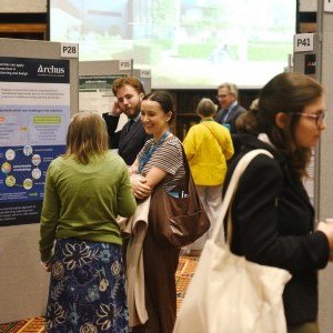 HCD Gallery image