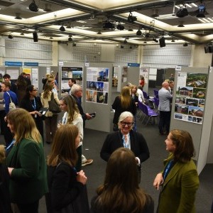 HCD Gallery image
