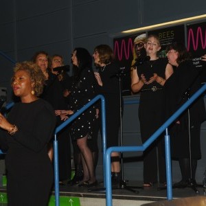 HCD Gallery image