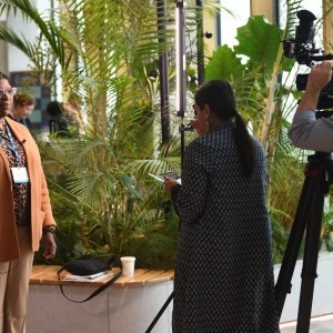 HCD Gallery image
