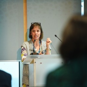 HCD Gallery image