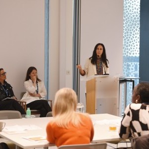 HCD Gallery image