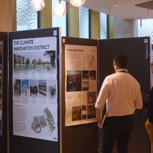 HCD Gallery image