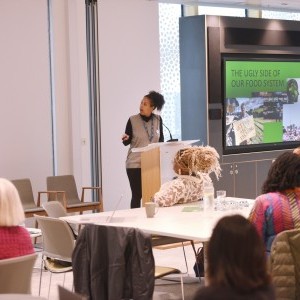 HCD Gallery image