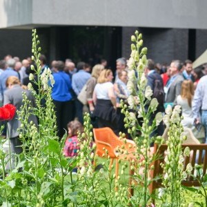 HCD Gallery image